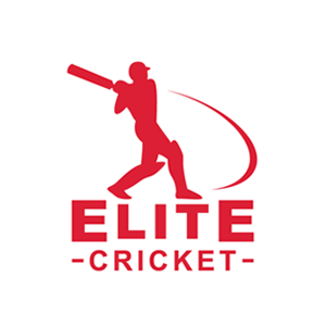 Cricket League Logo Design by Vichu
