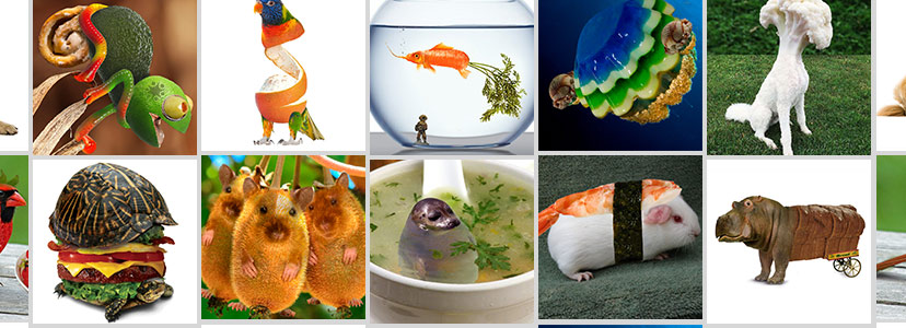 When Pets And Animals Look Strangely Like Food
