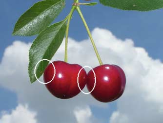 How to Chrome Plate your Cherries