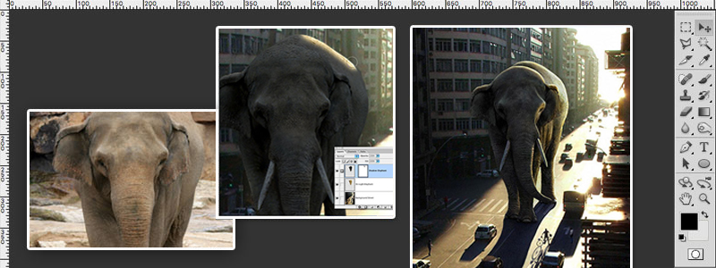 Lighting A Giant Elephant Photoshop Tutorial